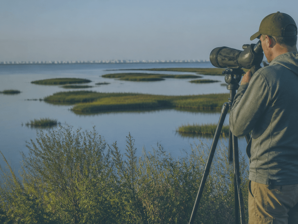 Birding scope mornings: rent or borrow early light — supporting Beach Blog photo, Ocean City, Maryland