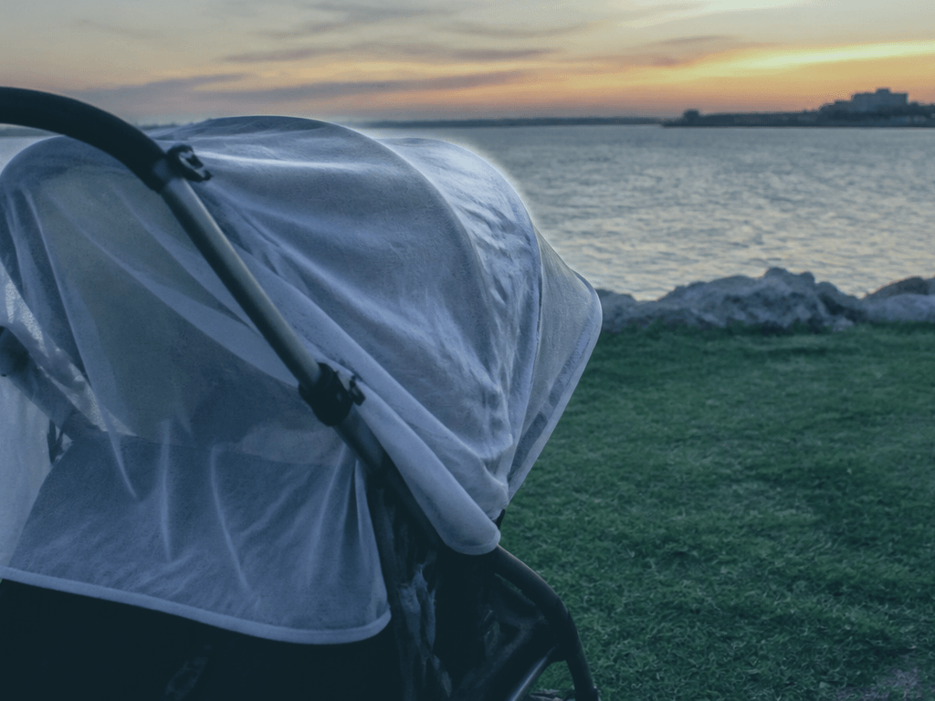 Stroller bug net at dusk: bay parks need it — supporting Beach Blog photo, Ocean City, Maryland