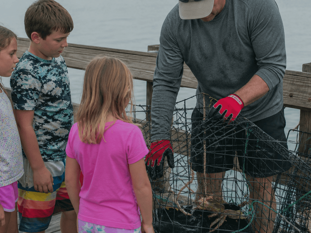 Collapsible trap crabbing family setup: simple gear, clear jobs, fewer pinched fingers — supporting Beach Blog photo, Ocean City, Maryland