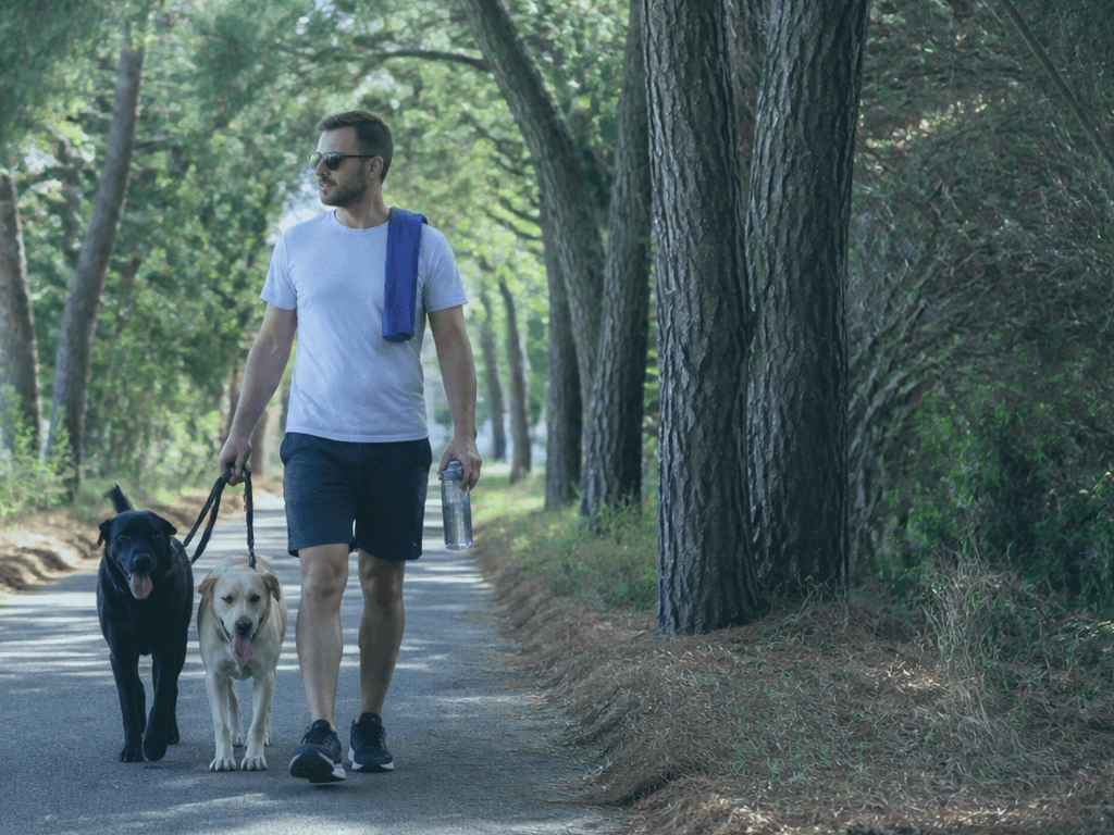 Cool towel for dog walks: shade still wins — supporting Beach Blog photo, Ocean City, Maryland