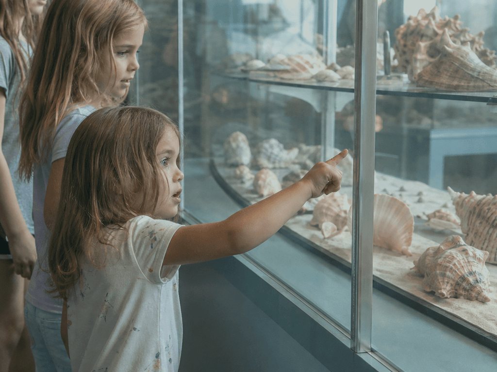 Cousin week: shell museum and quiet wins — supporting Beach Blog photo, Ocean City, Maryland