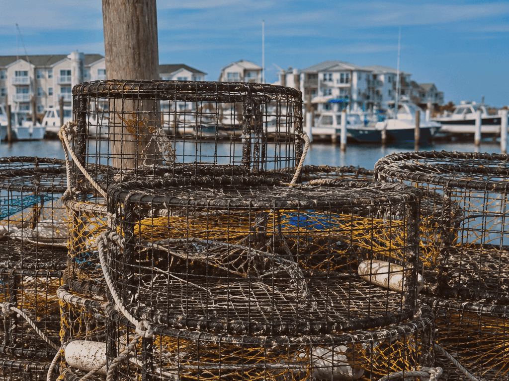 Crab pot reality for vacation weeks: effort, rules, and whether it fits a condo trip — supporting Beach Blog photo, Ocean City, Maryland