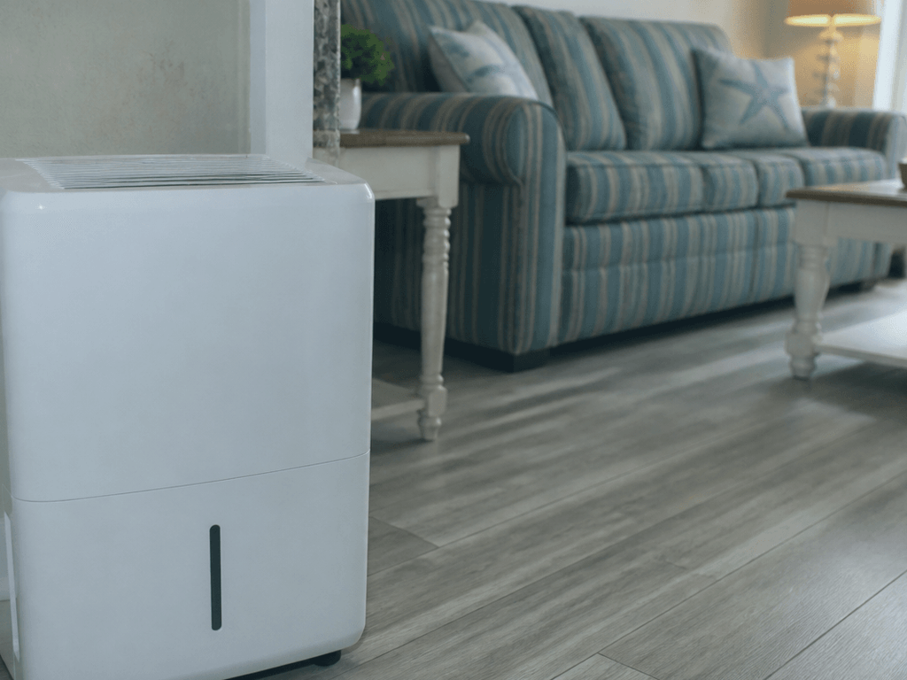 Dehumidifier for musty condo mornings: dry air, better sleep — supporting Beach Blog photo, Ocean City, Maryland