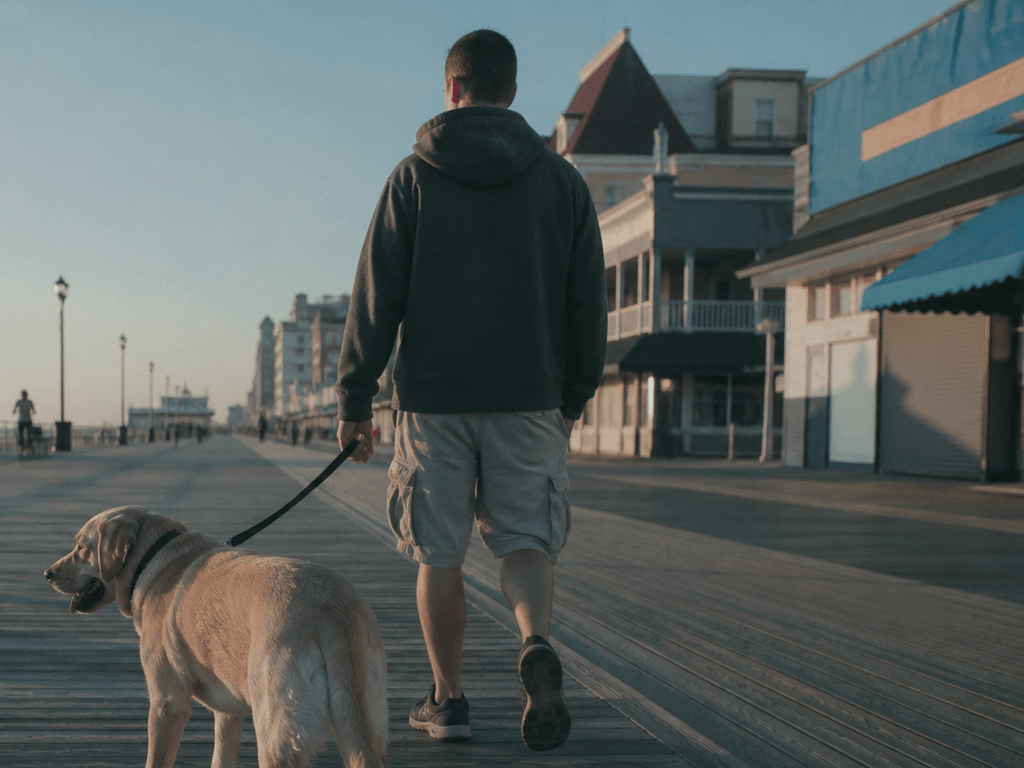 Dog-friendly Boardwalk morning rules: leash math, heat paws, and courtesy — supporting Beach Blog photo, Ocean City, Maryland