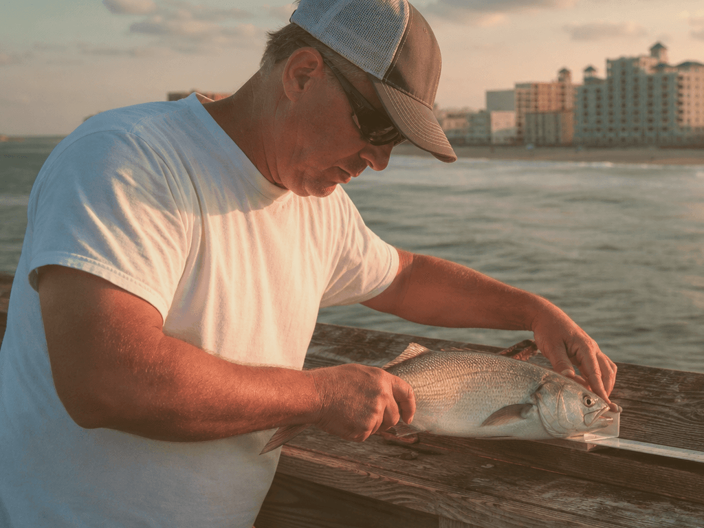 Fishing regs pocket card before you cast: seasons, sizes, and no-guessing — supporting Beach Blog photo, Ocean City, Maryland