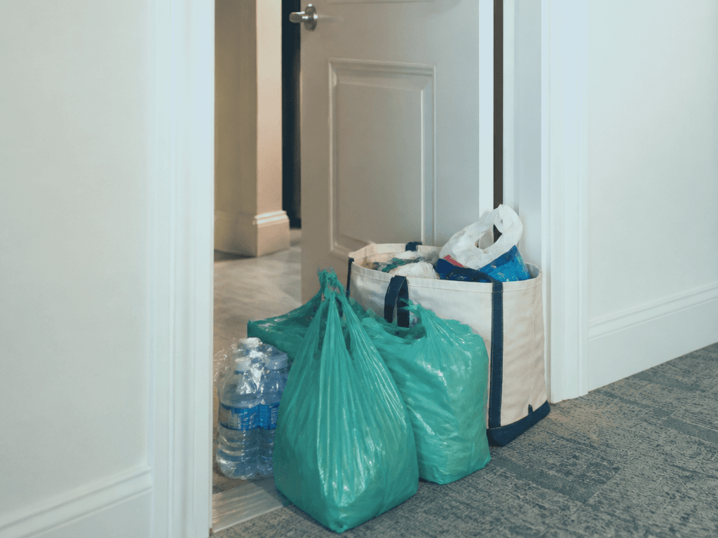 Grocery delivery to the condo first night: skip the Highway hunger spiral — supporting Beach Blog photo, Ocean City, Maryland