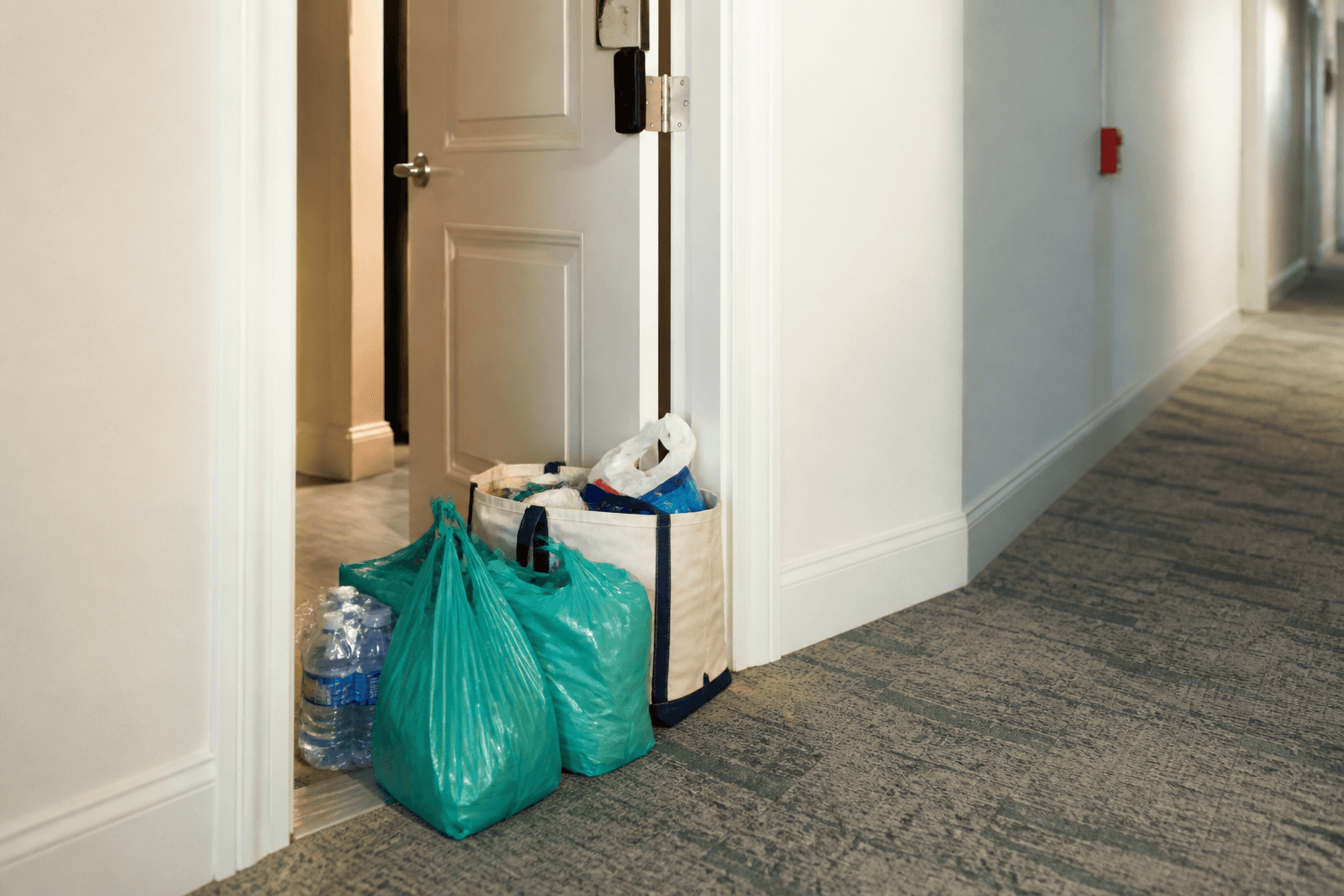 Grocery delivery to the condo first night: skip the Highway hunger spiral — Beach Blog photo, Ocean City, Maryland