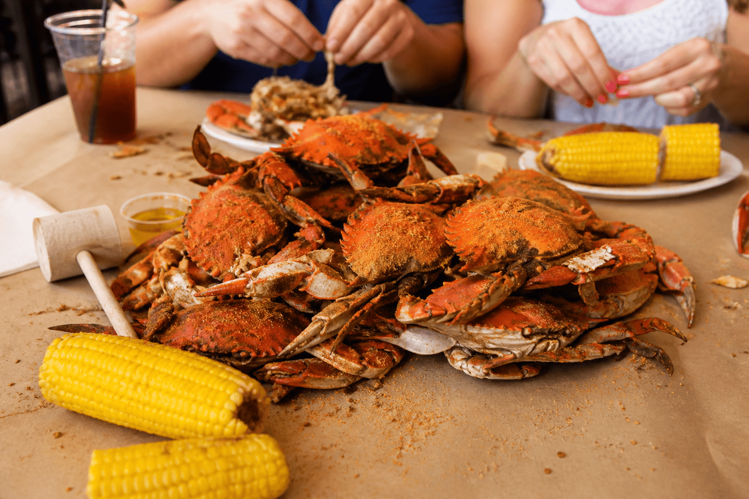 Higgins Crab House North: the uptown steamed-crab call — Beach Blog photo, Ocean City, Maryland
