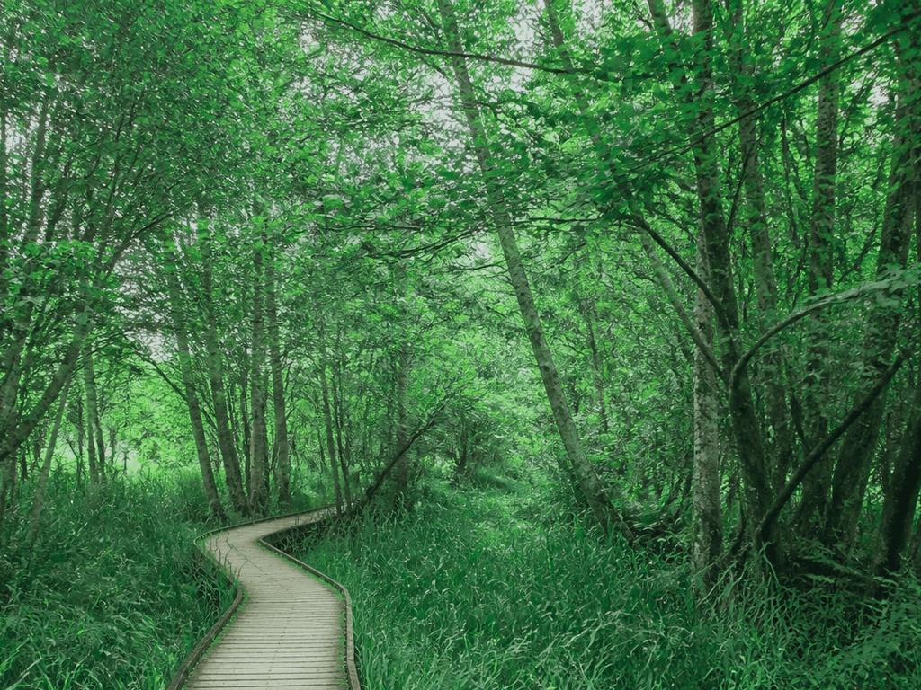 Isle of Wight nature hour from OC: short wild, big exhale — supporting Beach Blog photo, Ocean City, Maryland