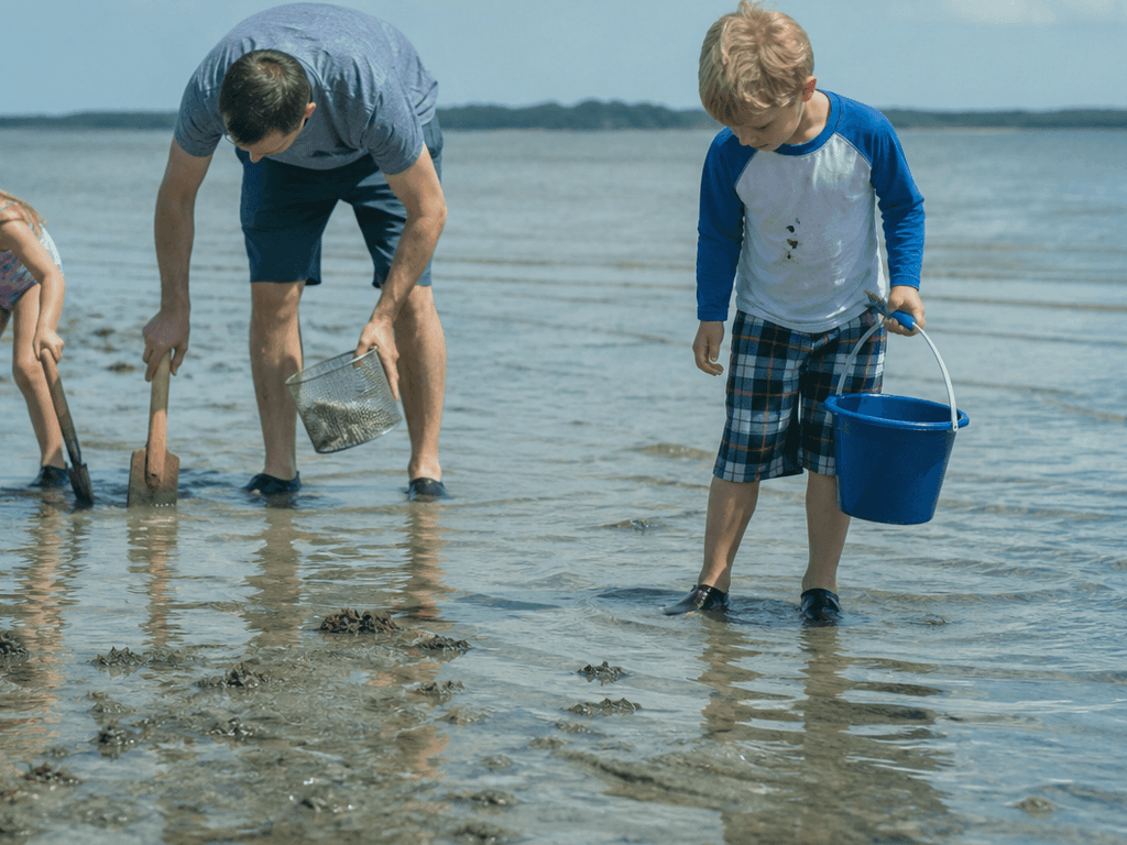 Kids clamming and bay discovery hour: short, supervised, and actually fun — supporting Beach Blog photo, Ocean City, Maryland