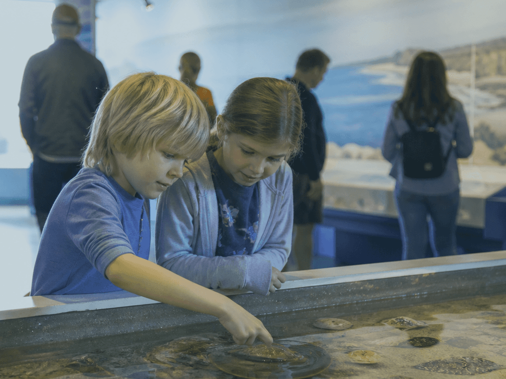 Kids museum hour when beach is too much: brains on, volume down — supporting Beach Blog photo, Ocean City, Maryland