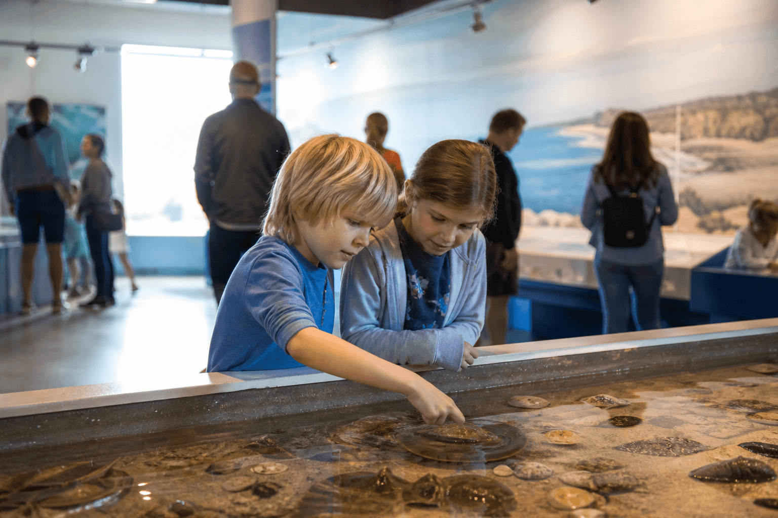 Kids museum hour when beach is too much: brains on, volume down — Beach Blog photo, Ocean City, Maryland