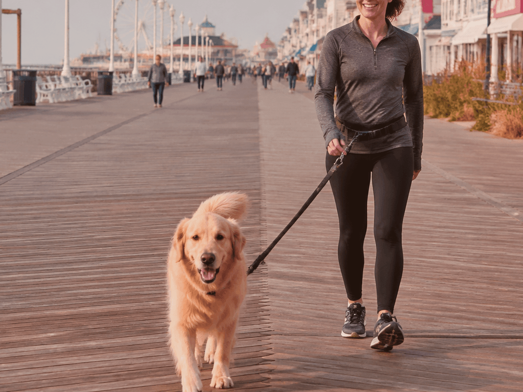 Waist leash belt for hands-free dog walks — supporting Beach Blog photo, Ocean City, Maryland