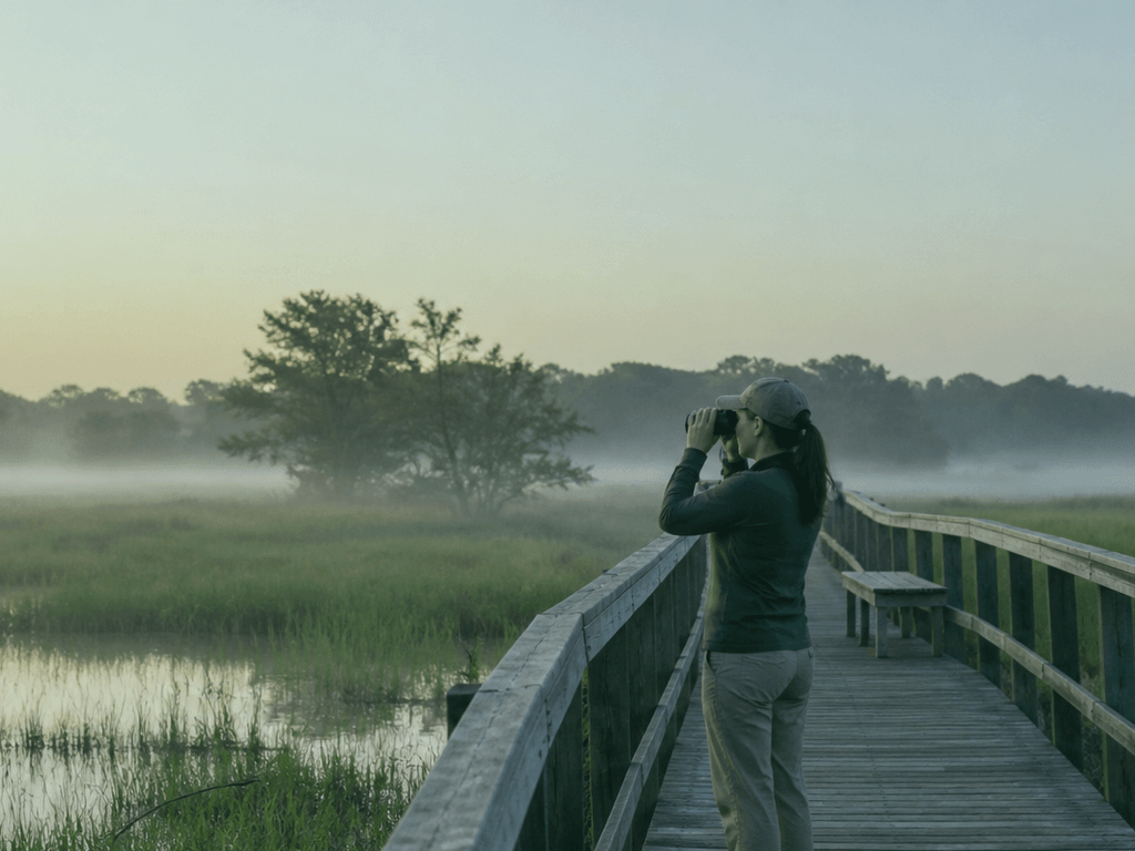 marsh morning before the boardwalk volume — supporting Beach Blog photo, Ocean City, Maryland