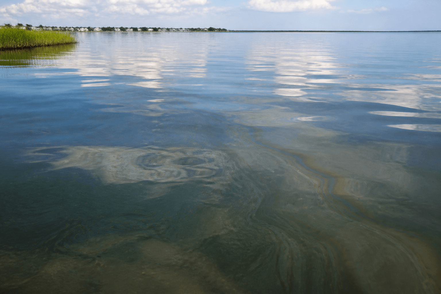 Menhaden oil-slick smell truth: fishy air is not always 'pollution panic' — Beach Blog photo, Ocean City, Maryland