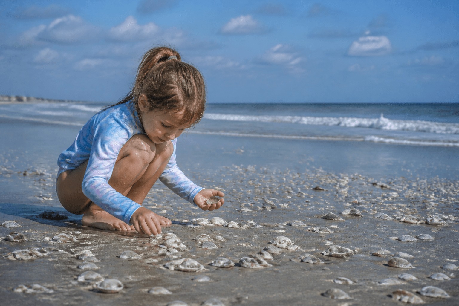 Mollusk shelling ethics for kids: take empty shells, leave living homes — Beach Blog photo, Ocean City, Maryland