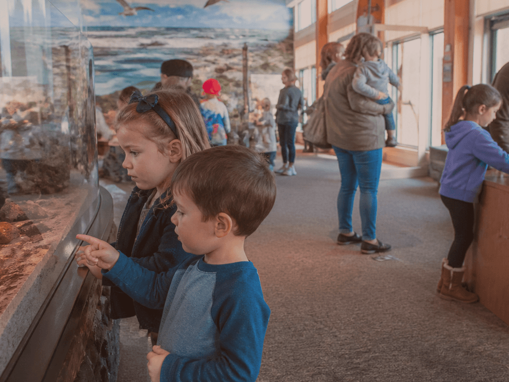 Nature center quiet voices: practice in the parking lot — supporting Beach Blog photo, Ocean City, Maryland
