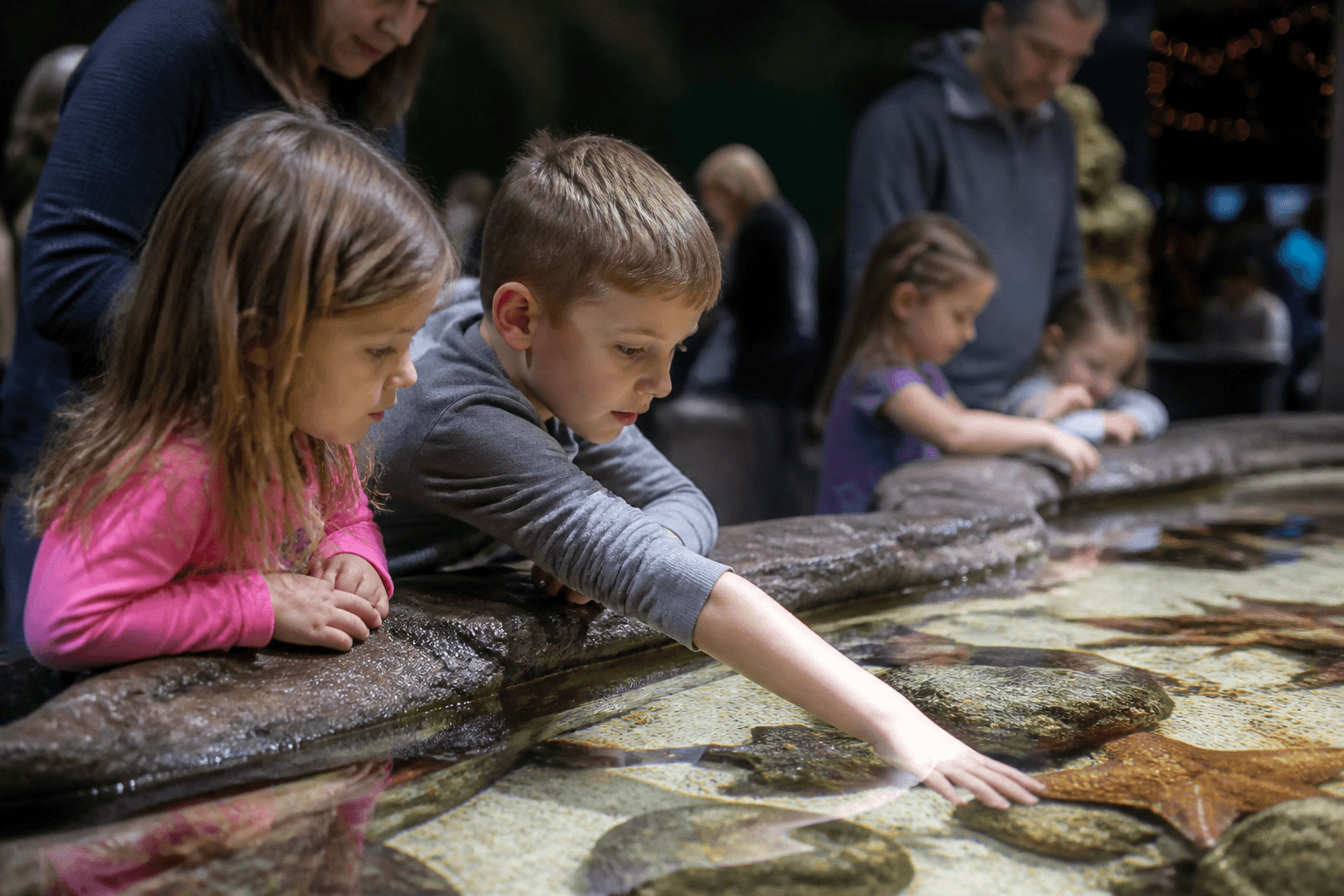 Aquarium touch-tank kid pacing: wonder first, exit before meltdown — Beach Blog photo, Ocean City, Maryland