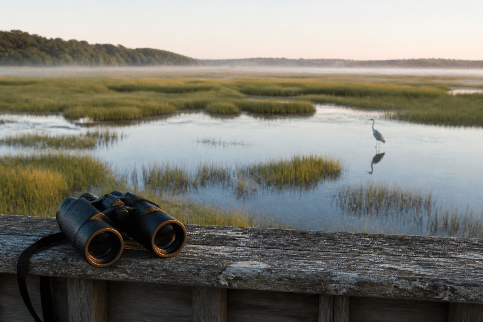 Ocean City to Assateague binoculars pack plan: bring the view closer — Beach Blog photo, Ocean City, Maryland