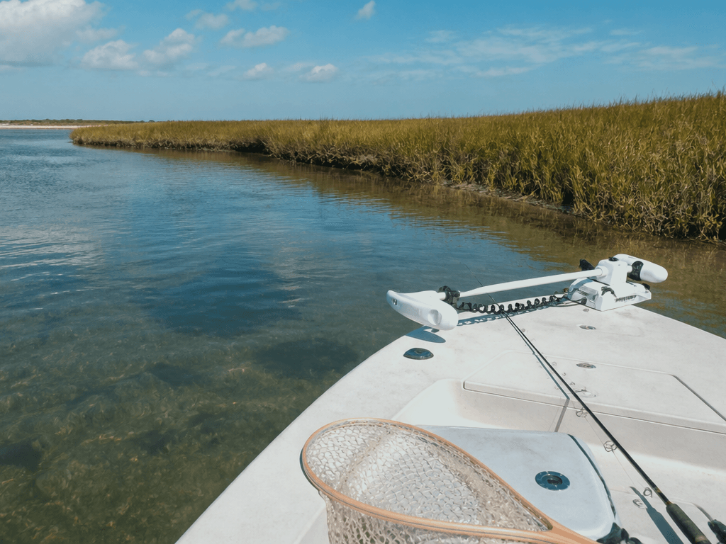 Assateague channel-edge flounder: quieter water when Isle of Wight feels like a parade — supporting Beach Blog photo, Ocean City, Maryland