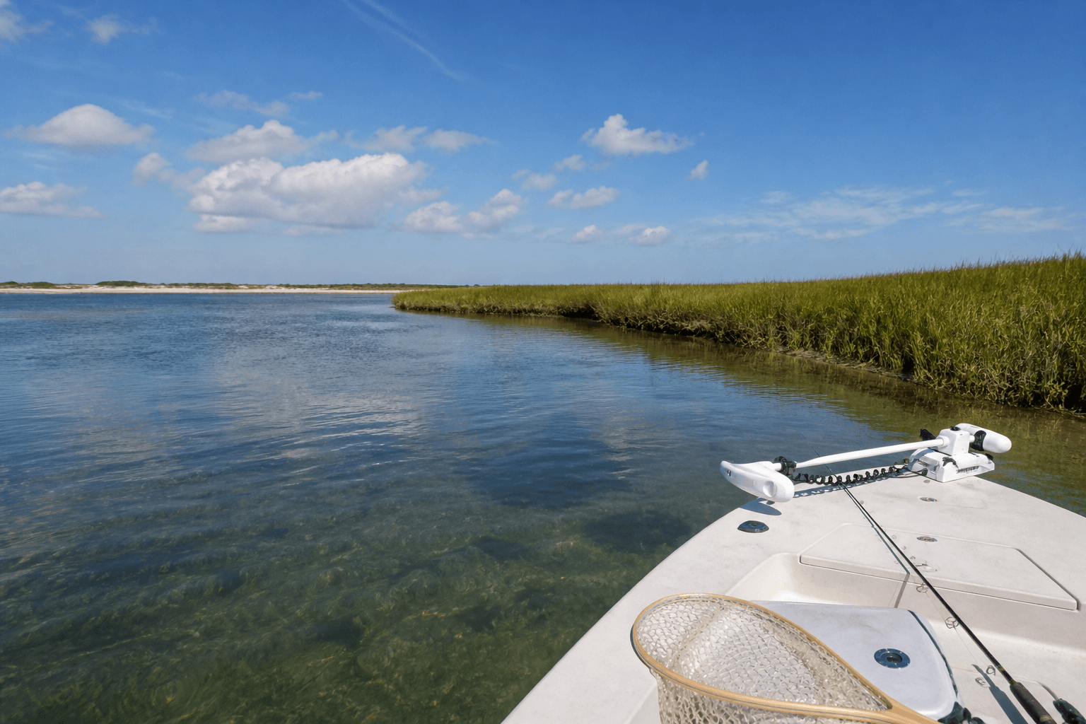 Assateague channel-edge flounder: quieter water when Isle of Wight feels like a parade — Beach Blog photo, Ocean City, Maryland