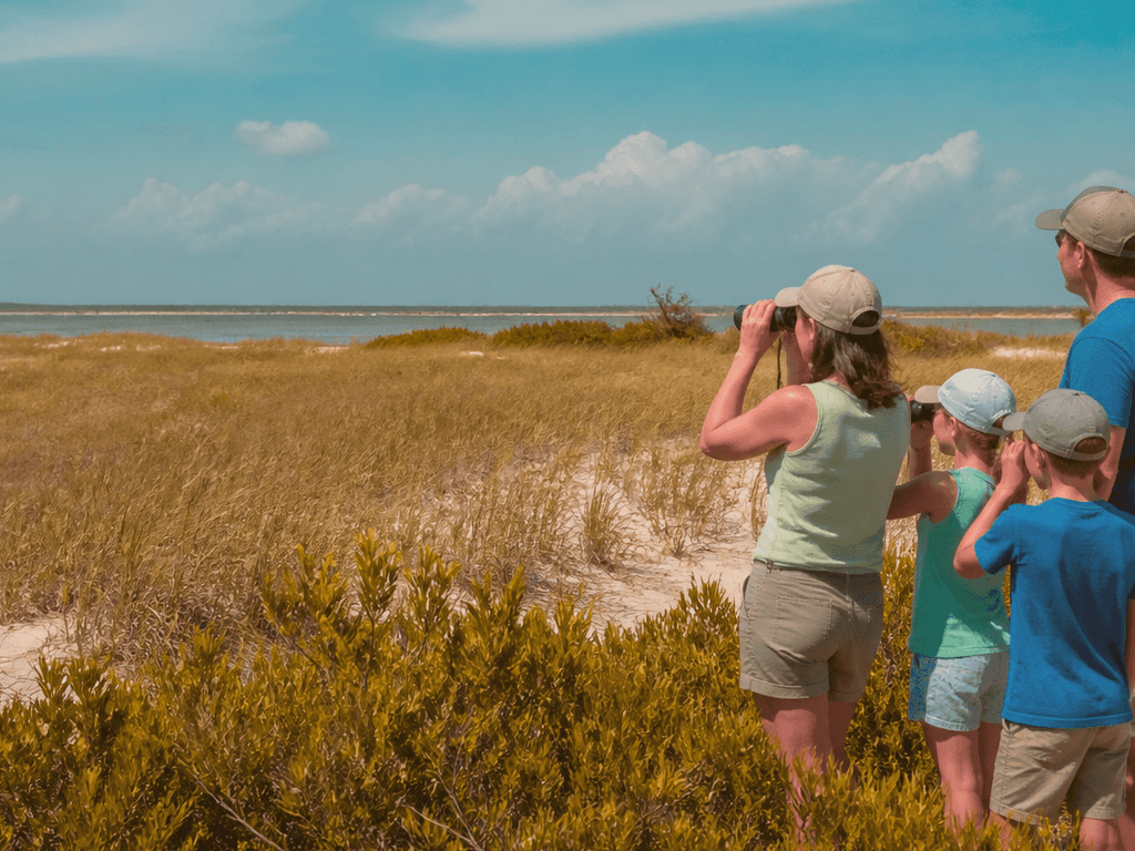 Ocean City to Assateague pony distance plan: wonder without crowding wildlife — supporting Beach Blog photo, Ocean City, Maryland