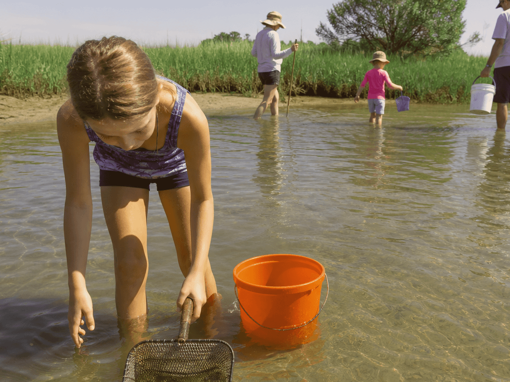 Ocean City clamming morning: fill a bucket before you chase flounder glory — supporting Beach Blog photo, Ocean City, Maryland