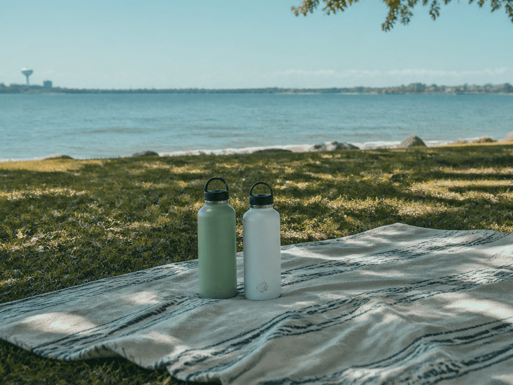 Ocean City Northside Park picnic plan: pack light, stay flexible — supporting Beach Blog photo, Ocean City, Maryland