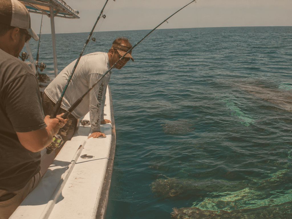 Mate releasing a small shark at rail on Ocean City area wreck fishing trip