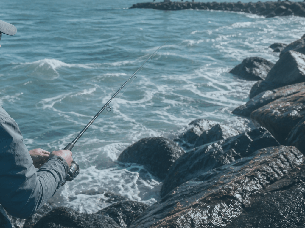 Ocean City sheepshead on inlet structure: crab chunks, sand fleas, and snag patience — supporting Beach Blog photo, Ocean City, Maryland