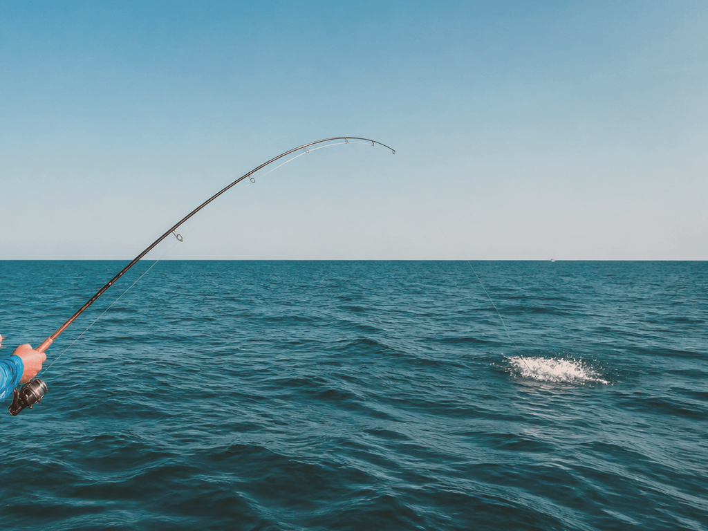 Spanish mackerel near Ocean City: the nearshore speed bite when the schools finally show — supporting Beach Blog photo, Ocean City, Maryland