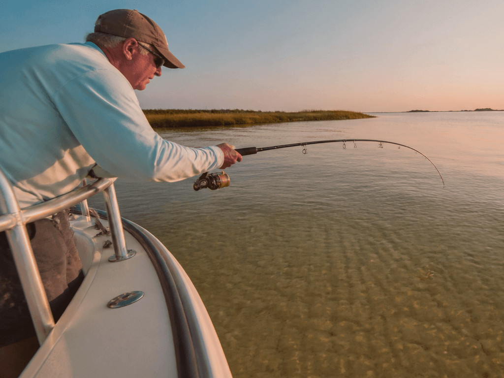 Summer flounder in Ocean City: hunt clean water early before the bay turns chocolate — supporting Beach Blog photo, Ocean City, Maryland
