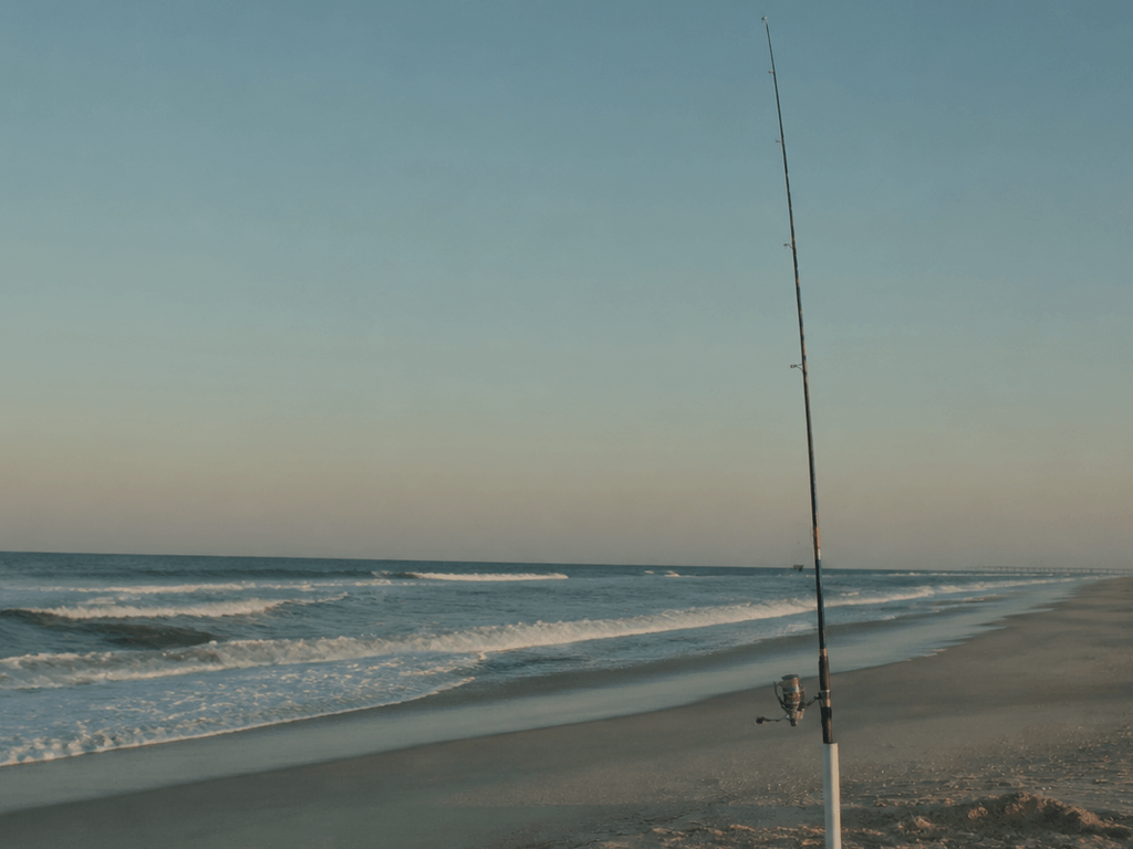Snapper bluefish on sand near surf fishing gear at Ocean City Maryland