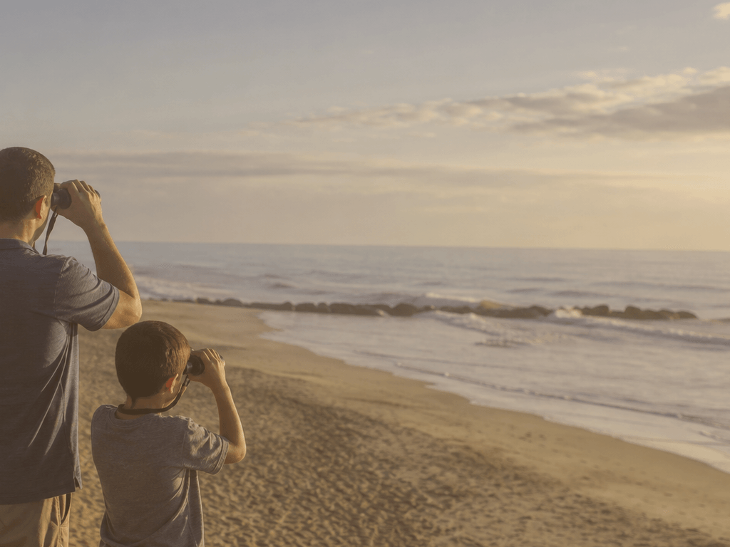 Teaching kids about Ocean City sharks without creating lifelong fear — supporting Beach Blog photo, Ocean City, Maryland