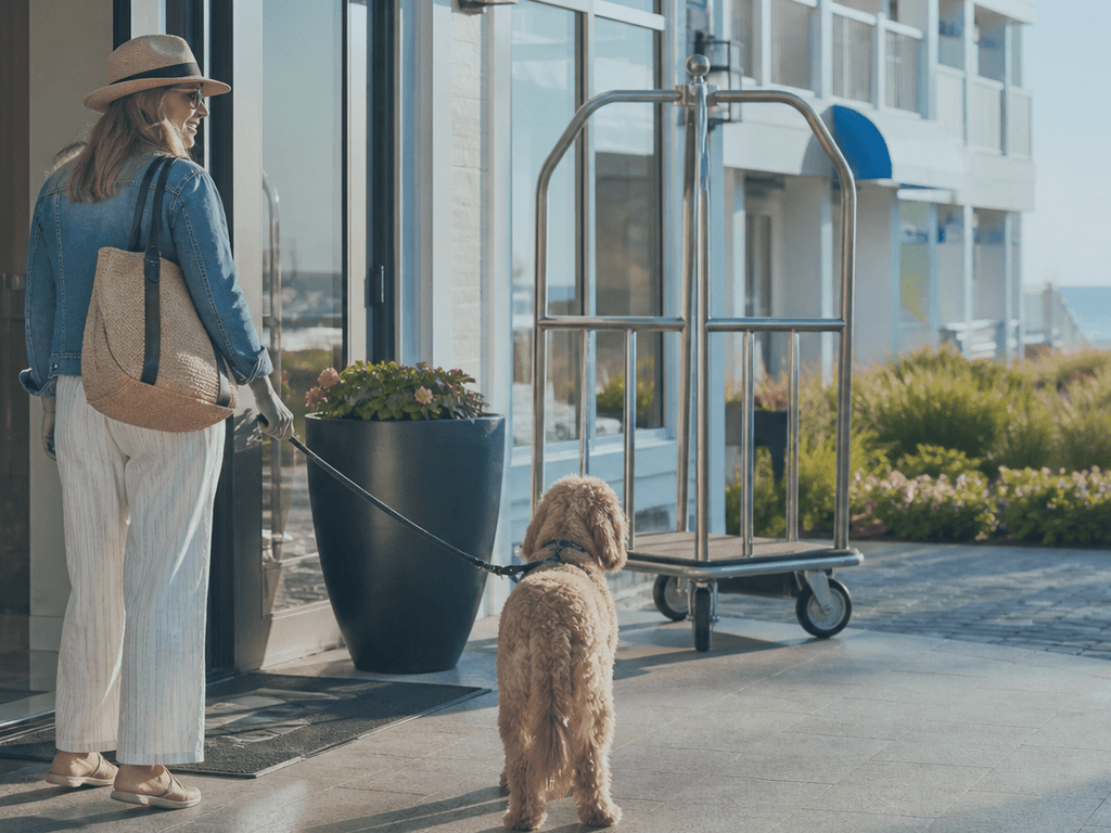 Pet-friendly lodging checklist: fees, floors, and the elevator surprise — supporting Beach Blog photo, Ocean City, Maryland