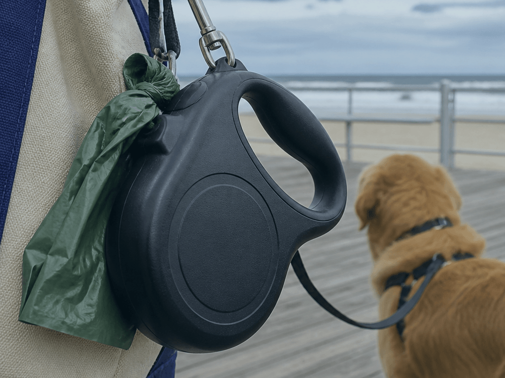 Poop bag dispenser refill before you leave the condo — supporting Beach Blog photo, Ocean City, Maryland