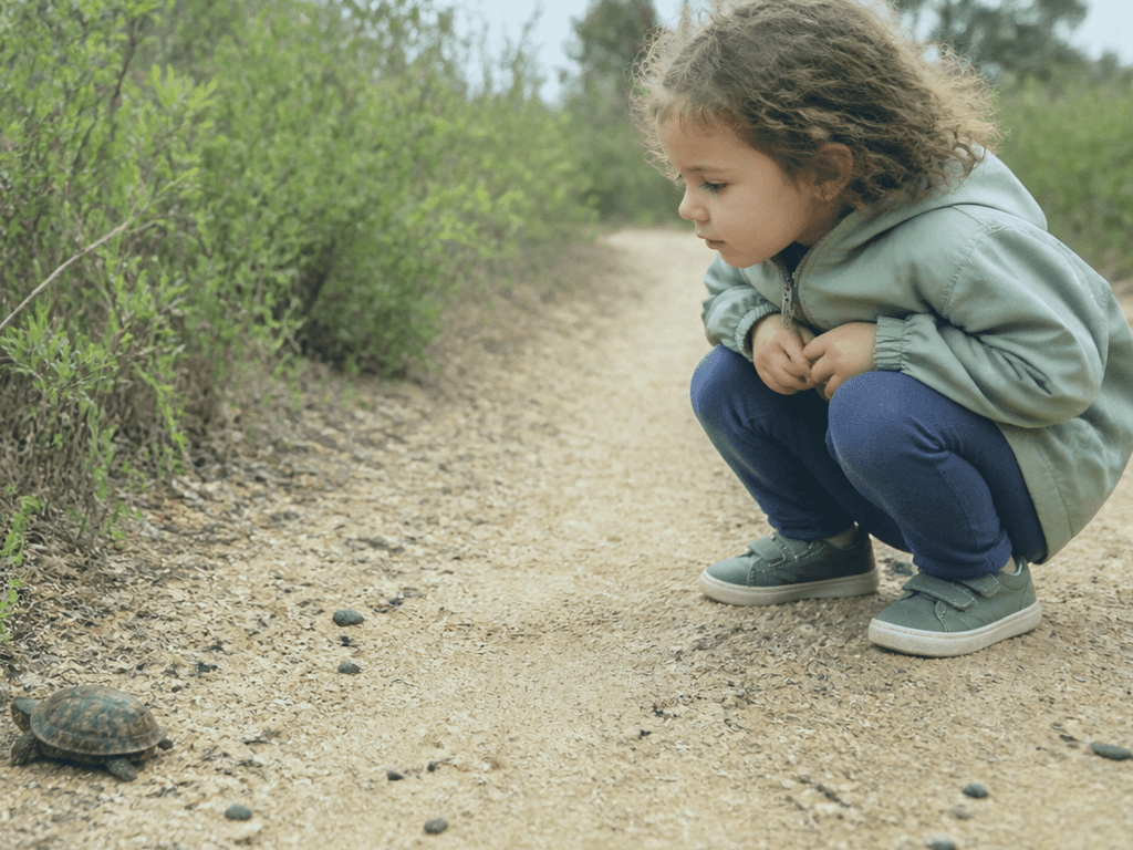 Reptile and amphibian spotting ethics: look, learn, leave them wild — supporting Beach Blog photo, Ocean City, Maryland