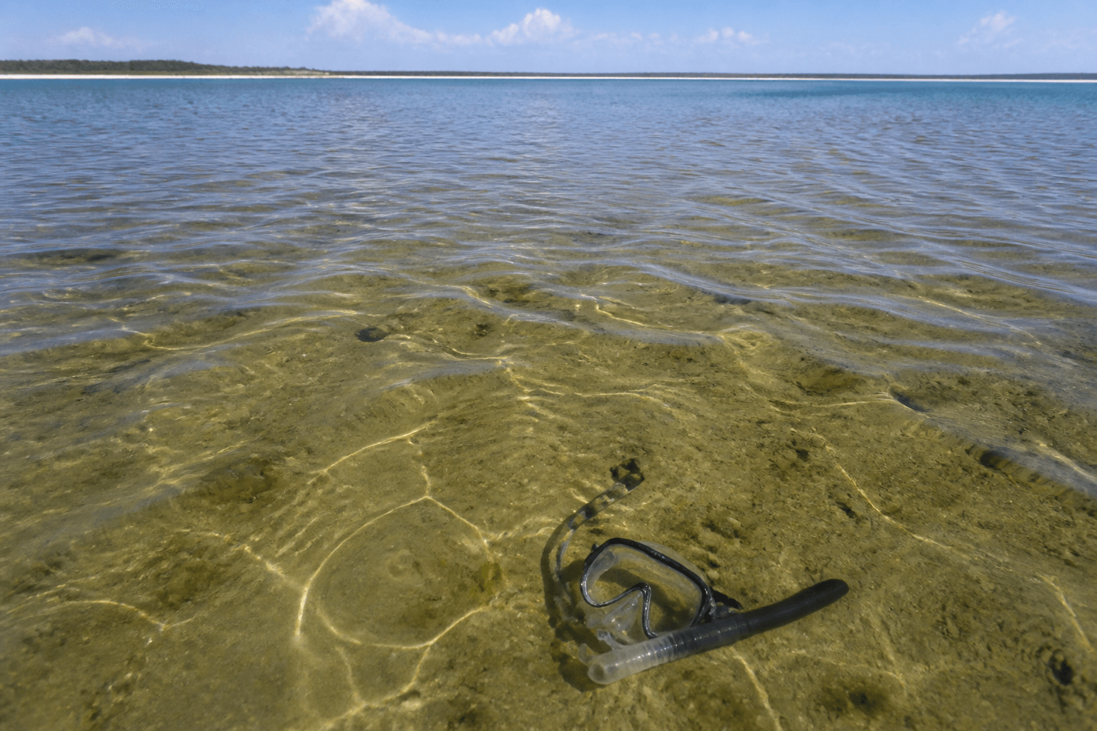 Snorkel bay clarity honesty: sometimes the bay is a soup — Beach Blog photo, Ocean City, Maryland
