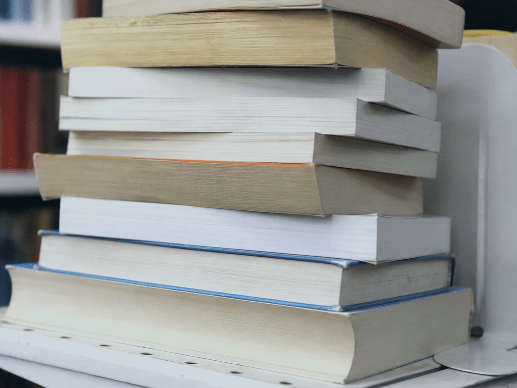 Thrift beach reads: cheap stacks beat suitcase weight — supporting Beach Blog photo, Ocean City, Maryland