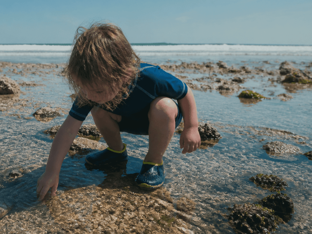 Tide-pool shoes: worth packing for jetty edges and shell hash — supporting Beach Blog photo, Ocean City, Maryland
