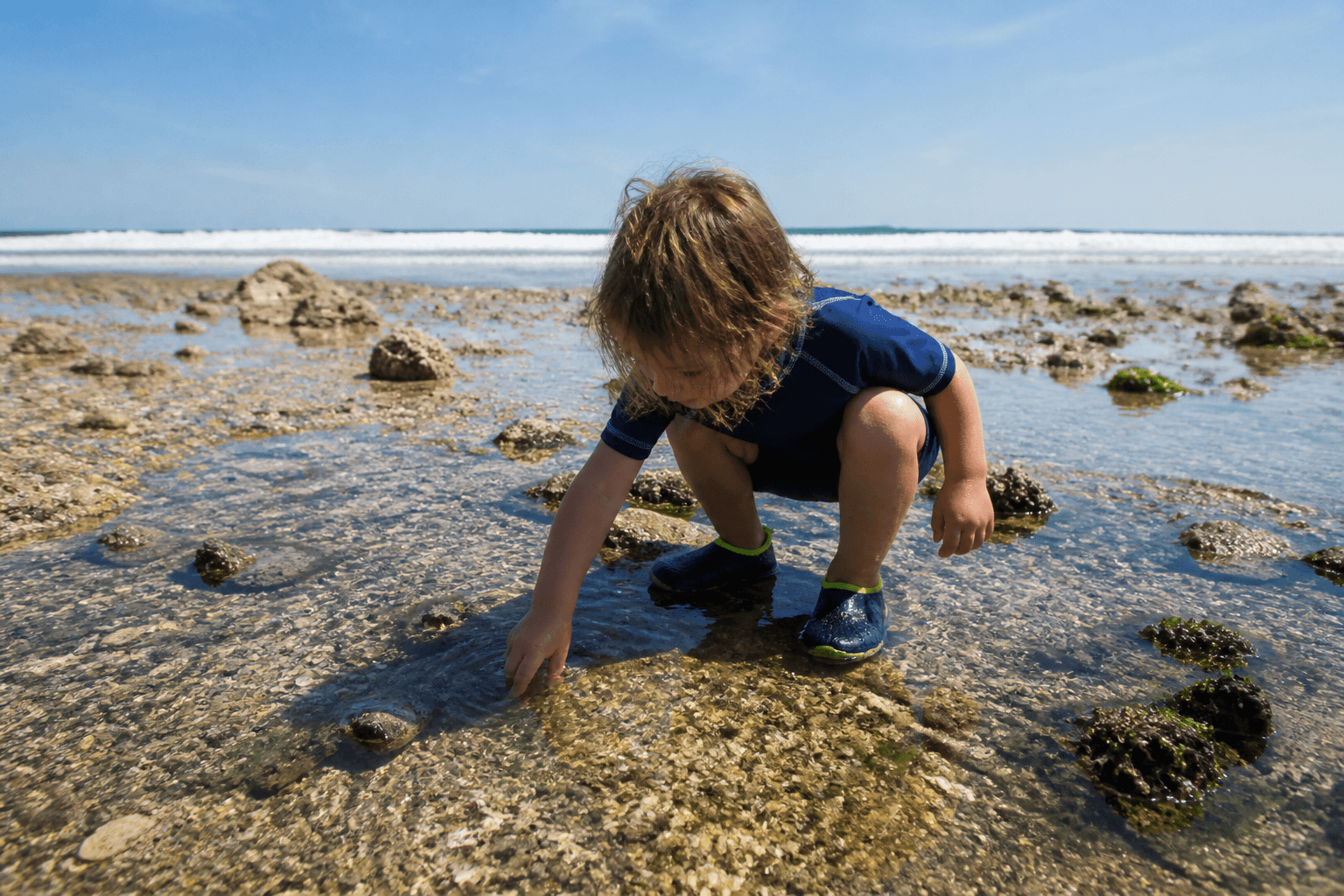 Tide-pool shoes: worth packing for jetty edges and shell hash — Beach Blog photo, Ocean City, Maryland