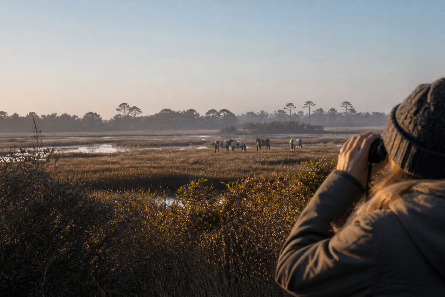 Where to see wildlife without a chase: quieter OC-area bets — Beach Blog photo, Ocean City, Maryland