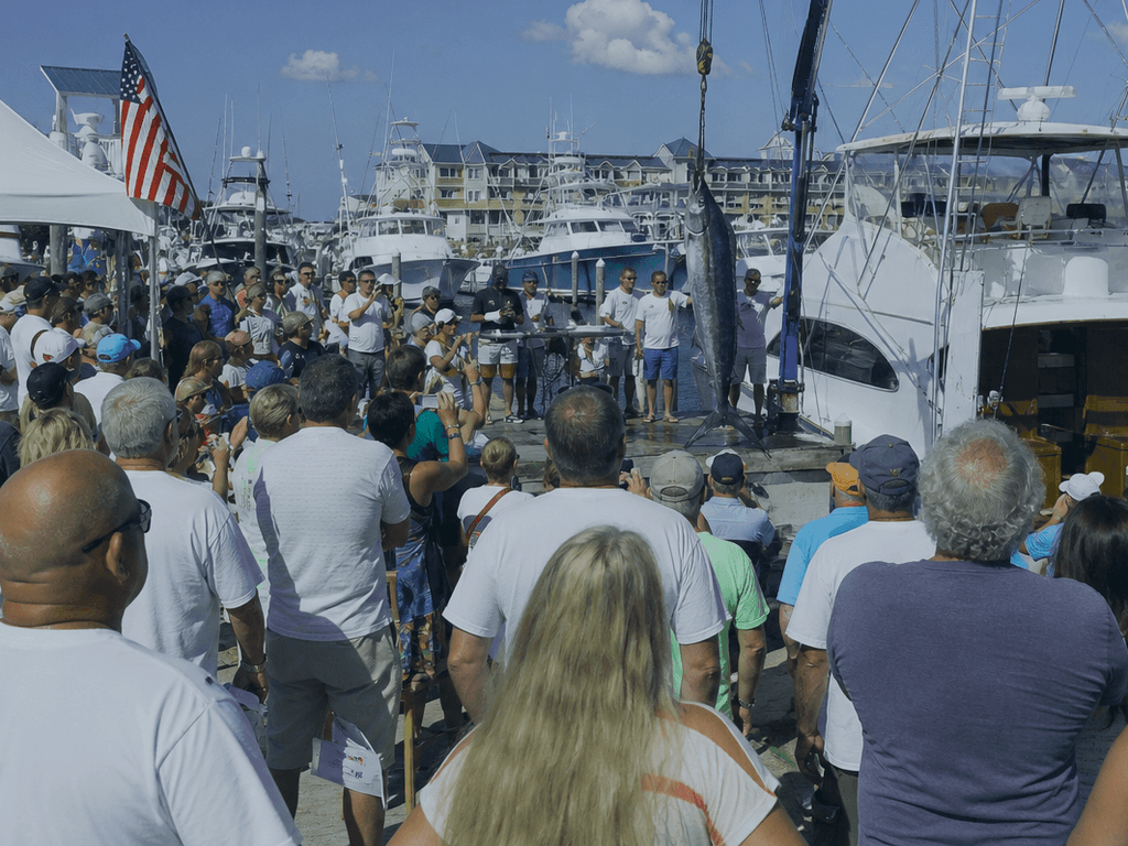 white marlin open week for spectators — supporting Beach Blog photo, Ocean City, Maryland
