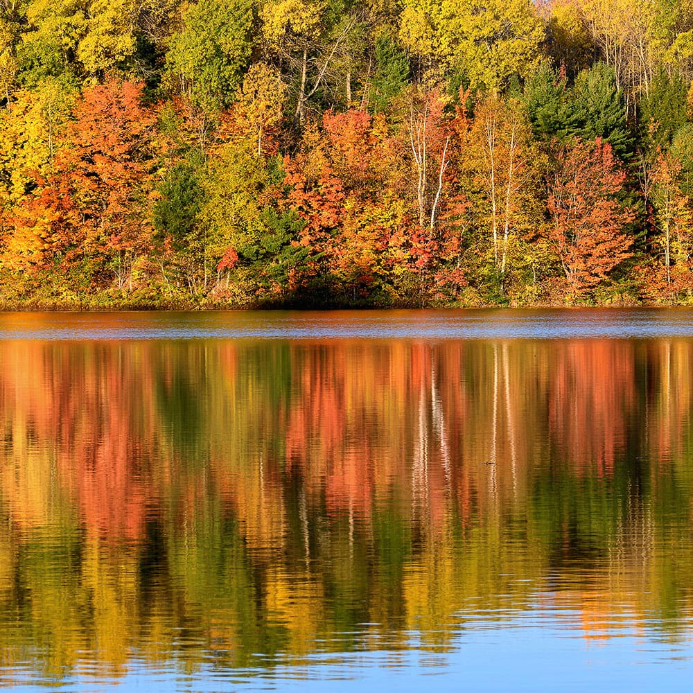 Fall leaf peeping — Ocean City, Maryland