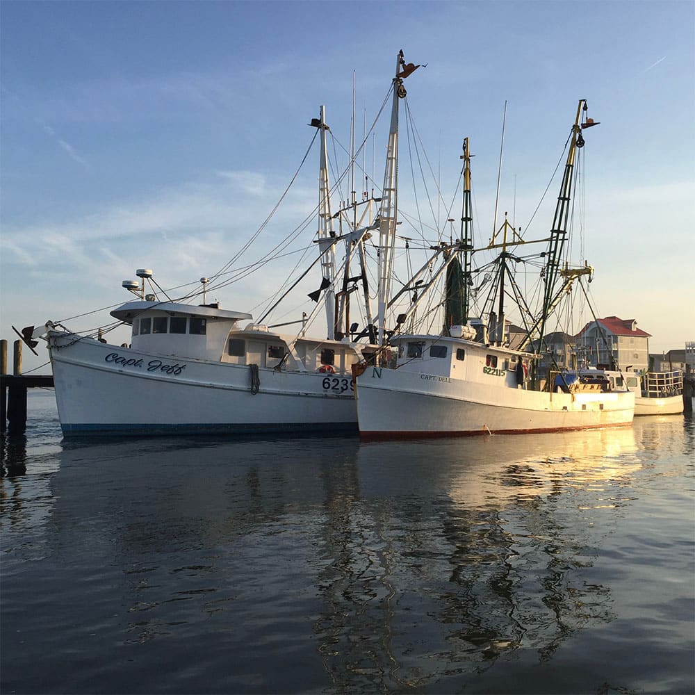 Sightseeing cruises — Ocean City, Maryland
