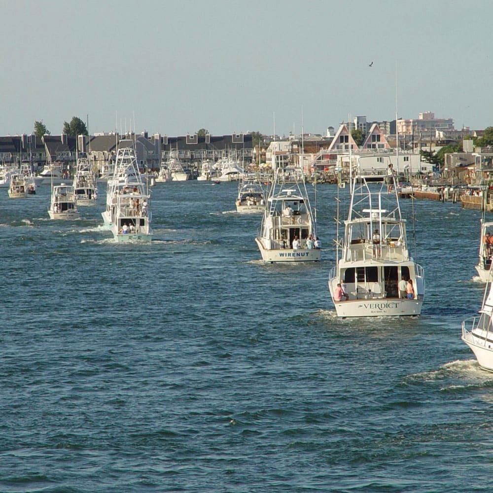 White Marlin Open — on-water spectating — Ocean City, Maryland