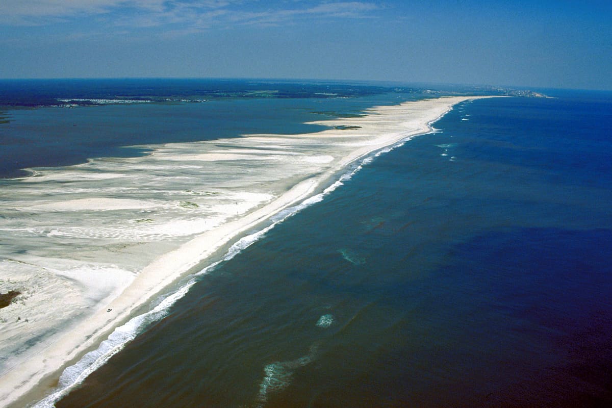 Where to see wildlife — Ocean City, Maryland