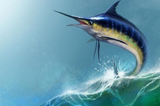 Blue marlin — Ocean City, Maryland