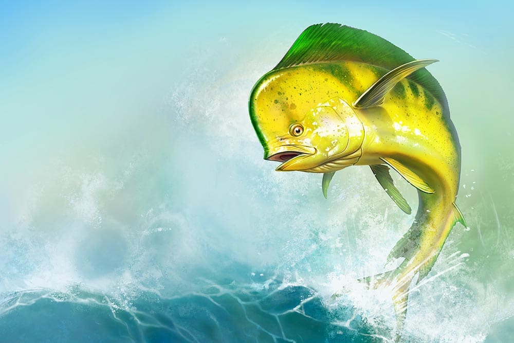 Ocean City Mahi-Mahi