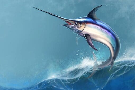 Swordfish — Ocean City, Maryland